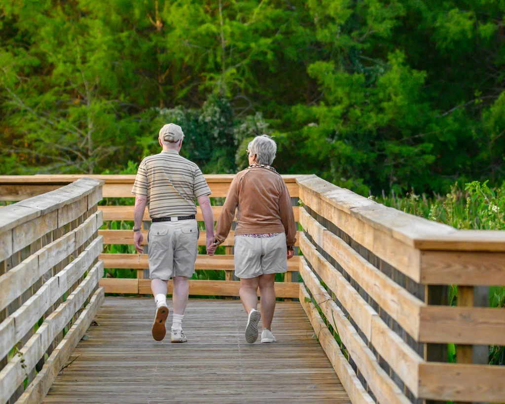 RRSP Retirement Investment | Mega Financial